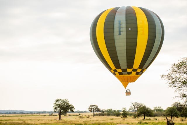 Tanzania Trip from Nigeria: Your Dream Safari Adventure Awaits with LMD Travel Agency