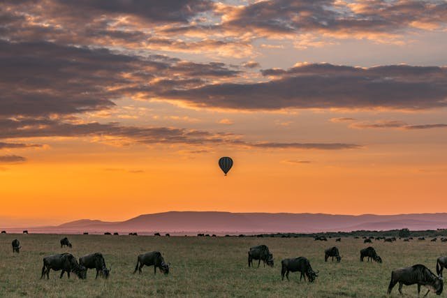 The Ultimate Guide to Tanzania National Parks in 2024