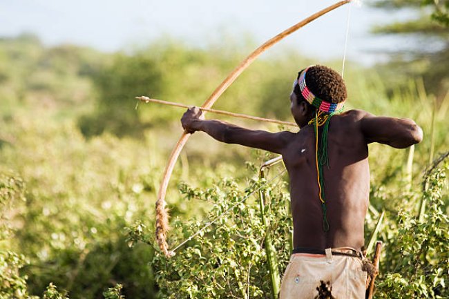 Hadzabe people using traditional bows and arrows